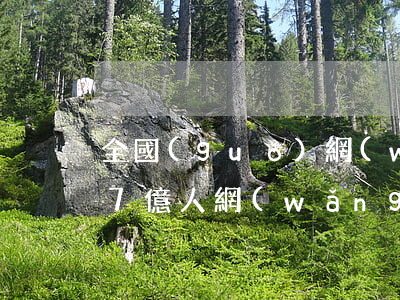 全國(guó)網(wǎng)貸逾期的有7億人(網(wǎng)貸逾期人數(shù))