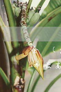 全國(guó)離婚率(全國(guó)離婚率最高的是哪個(gè)省)