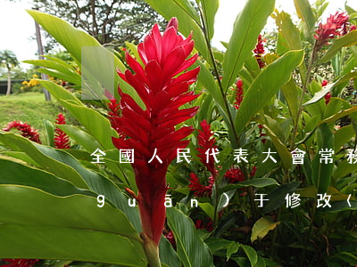 全國人民代表大會常務(wù)委員會關(guān)于修改〈中華人民共和國消費(fèi)者權(quán)益保護(hù)法〉的決定