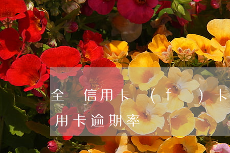 全國信用卡發(fā)卡量逾期率(各銀行信用卡逾期率)