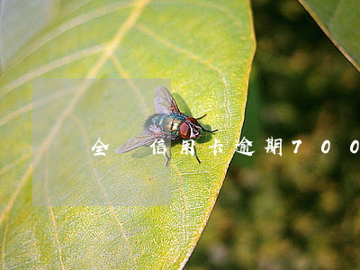 全國信用卡逾期700億