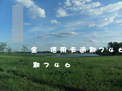 全國信用卡逾期746億罰息（全國信用卡逾期746億）