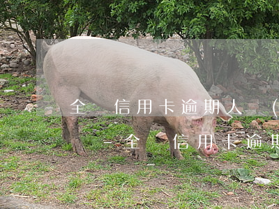 全國信用卡逾期人數(shù)7億是真的嗎-全國信用卡逾期人數(shù)7億是真的嗎嗎