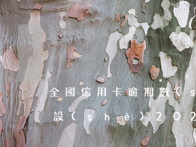全國信用卡逾期數(shù)據(jù)建設(shè)(2020年信用卡逾期數(shù)據(jù))