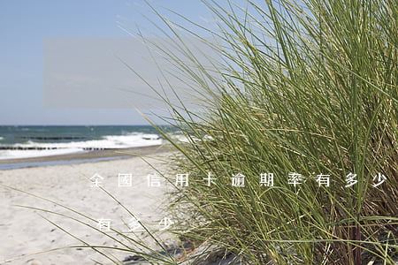 全國信用卡逾期率有多少(全國信用卡逾期率有多少)