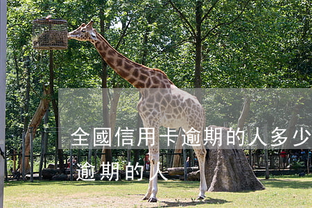 全國信用卡逾期的人多少(全國有多少信用卡逾期的人)