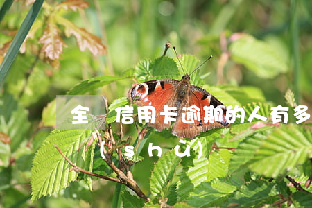 全國信用卡逾期的人有多少(全國信用逾期人數(shù))