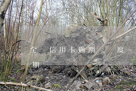 全國信用卡逾期總額度-信用卡7萬額度逾期