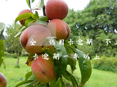 全國信用卡逾期還不上的有多少(有沒有信用卡逾期一年以上沒還的)