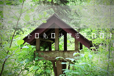 全國免費法律咨(免費問律師咨詢電話)