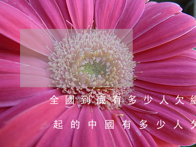全國到底有多少人欠網(wǎng)貸還不起的(中國有多少人欠網(wǎng)貸)