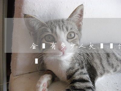 全國有多少人欠螞蟻借唄(螞蟻借唄有多少用戶)