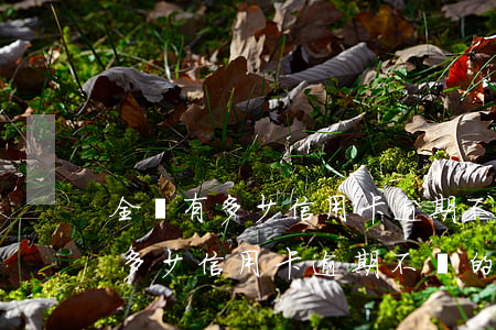 全國有多少信用卡逾期不還的案例-全國有多少信用卡逾期不還的案例呢