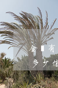 全國有多少信用卡逾期超過兩年的-全國有多少信用卡逾期超過兩年的人