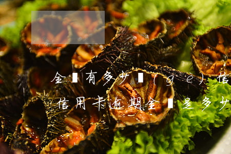全國有多少個(gè)信用卡逾期(今年全國信用卡逾期金額是多少)