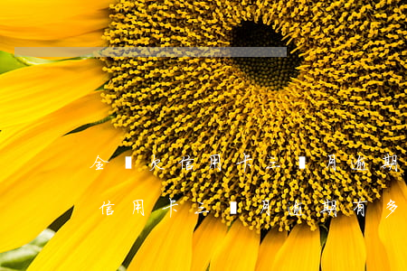 全國欠信用卡三個月逾期有多少人-全國欠信用卡三個月逾期有多少人被起訴