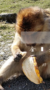 全國欠網(wǎng)貸多少人(全國網(wǎng)貸欠款有多少人)