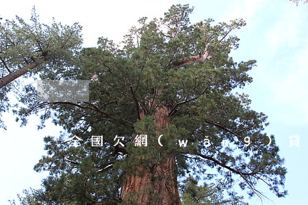 全國欠網(wǎng)貸的多嗎