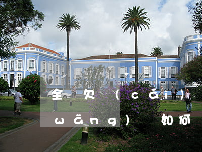 全國欠財(cái)務(wù)公司和網(wǎng)貸如何處理-全國財(cái)務(wù)公司有多少家