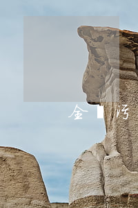 全國污染源普查條例