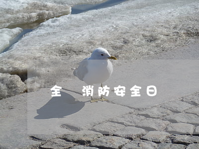 全國消防安全日