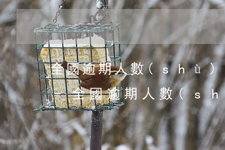 全國逾期人數(shù)2021百度貼吧-全國逾期人數(shù)2020