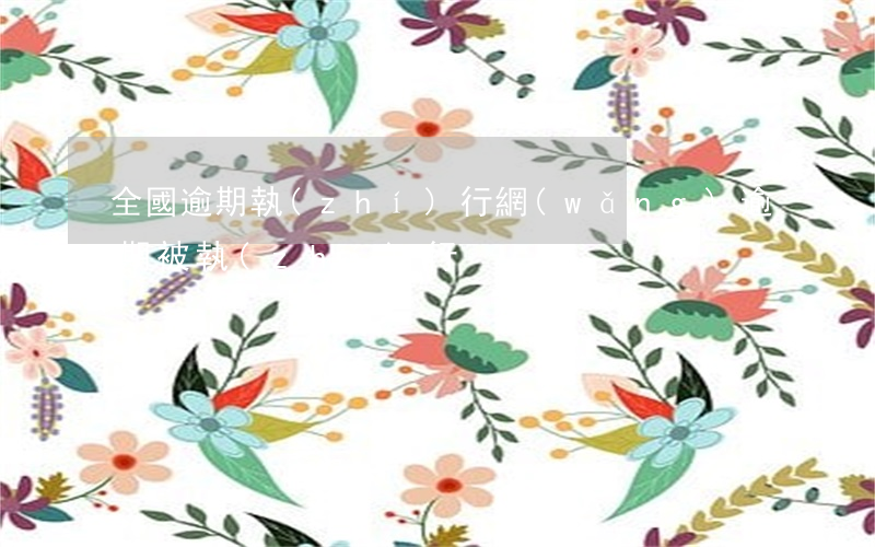 全國逾期執(zhí)行網(wǎng) 逾期被執(zhí)行