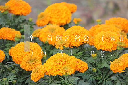 全國首例！2名公務(wù)員因執(zhí)行領(lǐng)導(dǎo)命令被判刑！