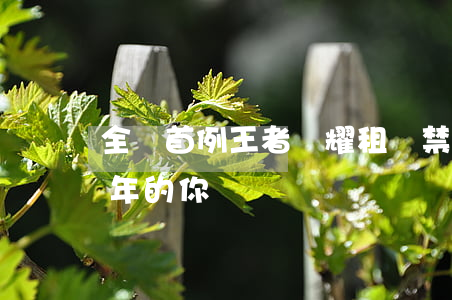 全國首例“王者榮耀”租號禁令來了！只為保護少年的你