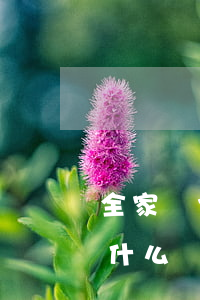 全家無力償還的后果 全家無力償還的后果是什么
