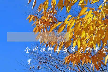 全州律师事务所在哪里(全州律师事务所在哪里)