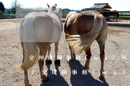 全州律師事務(wù)所在哪里(萬(wàn)全律師事務(wù)所在哪里)