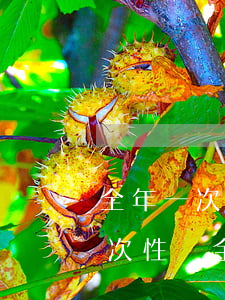全年一次性獎金逾期申報怎么籌劃-全年一次性獎金漏申報
