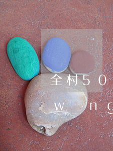 全村500多人網(wǎng)貸逾期(網(wǎng)貸逾期5000會上門嗎)