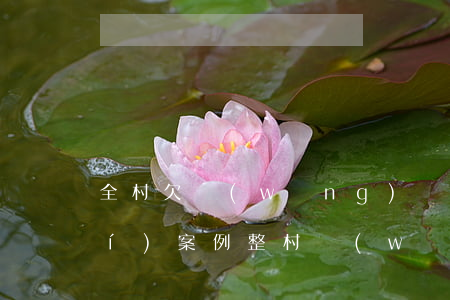 全村欠網(wǎng)貸不還的真實(shí)案例(整村網(wǎng)貸逾期不還)