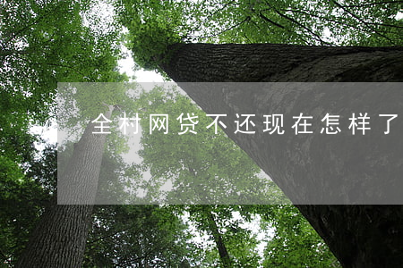 全村网贷不还现在怎样了(一个村借网贷不还)