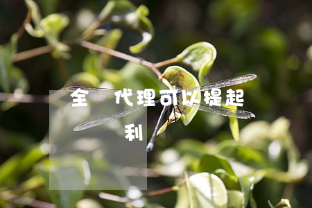 全權代理可以提起訴訟嗎(全權代理有哪些訴訟權利)