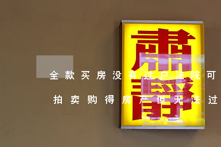 全款买房没有过户法院可以拍卖吗(通过司法拍卖购得房产但无法过户怎么办)