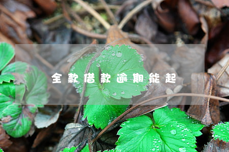 全款借款逾期能起訴嗎