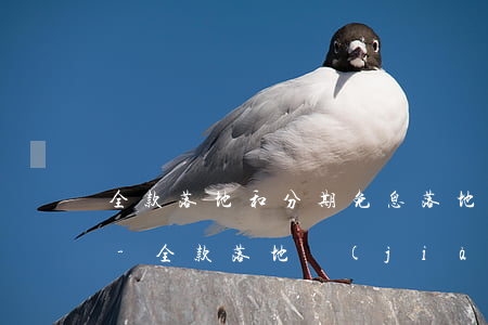 全款落地和分期免息落地哪個(gè)便宜-全款落地價(jià)和分期落地價(jià)