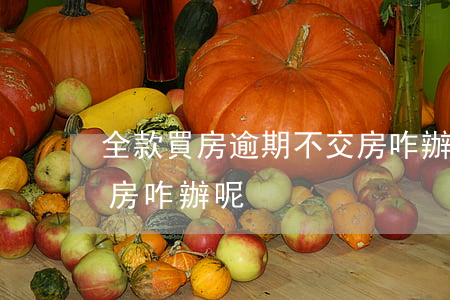全款買房逾期不交房咋辦(全款買房逾期不交房咋辦呢)