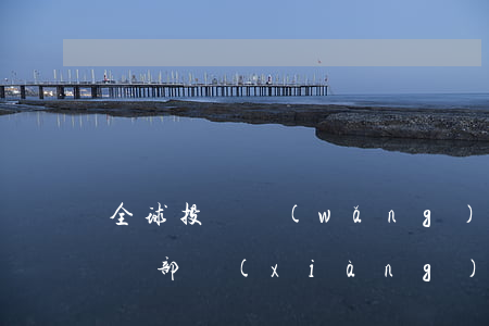 全球投資網(wǎng)中國運(yùn)營部項(xiàng)目方服務(wù)合同