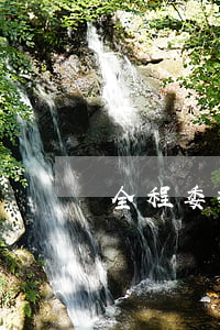 全程委托律師多少錢(律師全程委托需要多少錢)