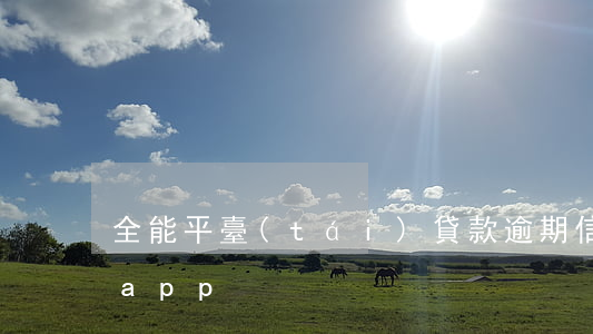 全能平臺(tái)貸款逾期信息(全能貸款app)