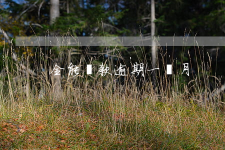 全能貸款逾期一個月