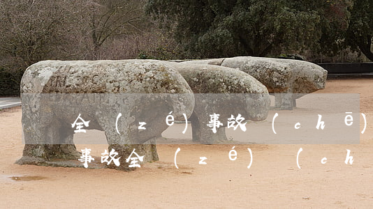 全責(zé)事故車(chē)損糾紛(交通事故全責(zé)車(chē)損怎么賠)