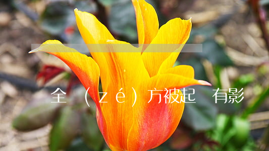 全責(zé)方被起訴有影響嗎