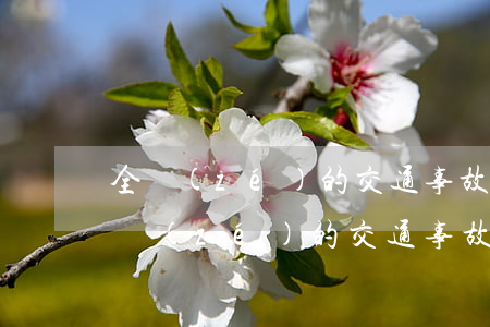 全責(zé)的交通事故保險公司怎么賠(全責(zé)的交通事故保險公司怎么賠)