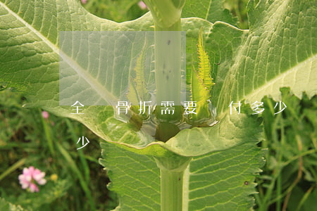 全責骨折需要賠付多少錢(骨折對方全責賠多少)