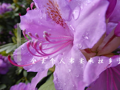 全责个人需要承担多少(全责的几种情况)